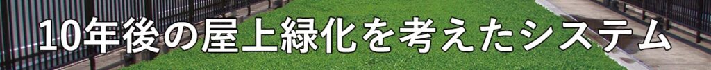 常緑キリンソウ袋方式販売：常緑キリンソウ販売：常緑キリンソウ専門会社の緑化計画研究所：屋上緑化革命：10年後の屋上緑化を考えたシステム