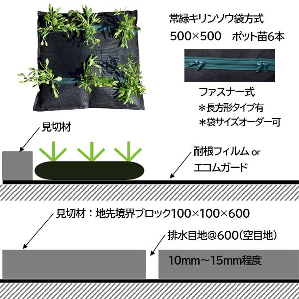 常緑キリンソウ袋方式販売：常緑キリンソウ販売：常緑キリンソウ専門会社の緑化計画研究所：屋上緑化革命：常緑キリンソウ袋方式標準断面図