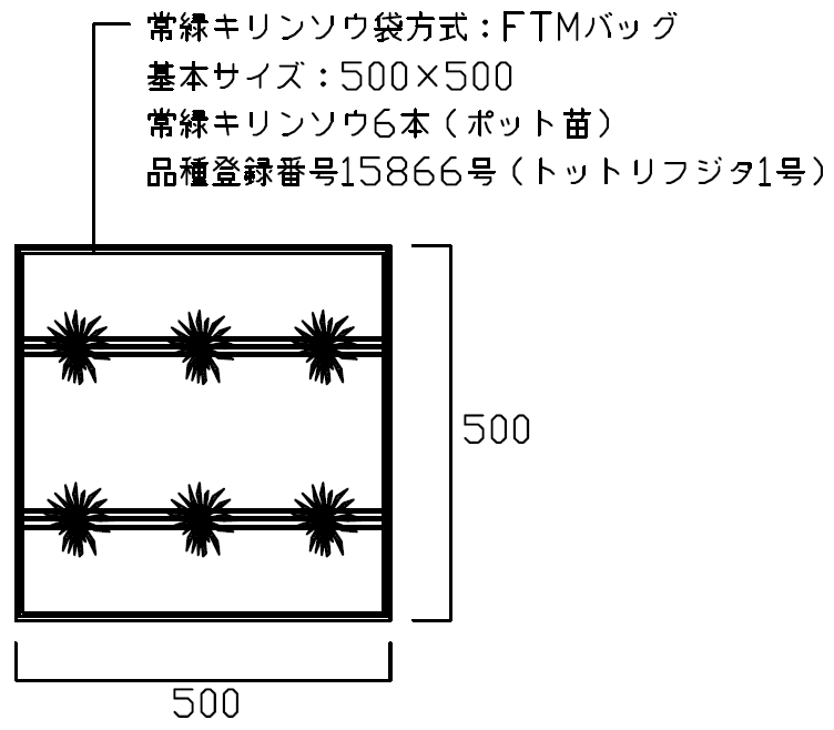 常緑キリンソウ袋方式標準図