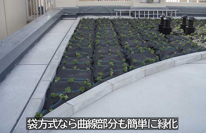 曲線形状を含む屋上スペースに、袋方式の緑化ユニットを敷設し、植栽が均一に配置されている施工例。