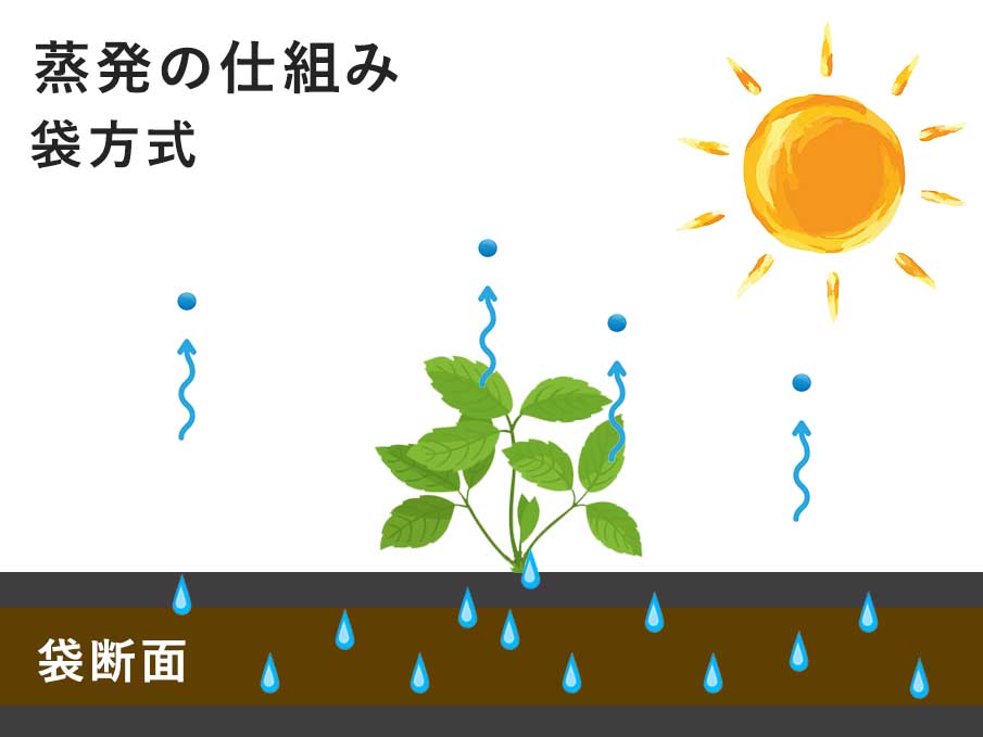 常緑キリンソウ袋方式における袋断面図。不織布で土壌全体が覆われ、水分が内部に保持されやすい状態を示す模式図。