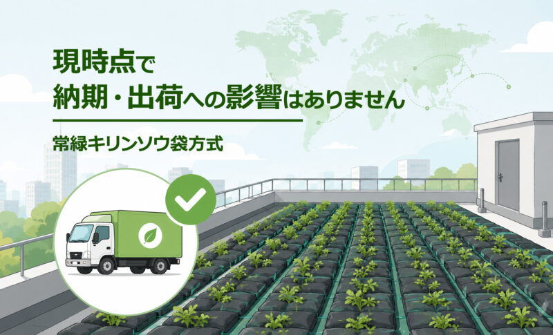 常緑キリンソウ袋方式®の納期・出荷について、現時点で中東情勢による大きな影響がないことを案内する屋上緑化のニュース画像