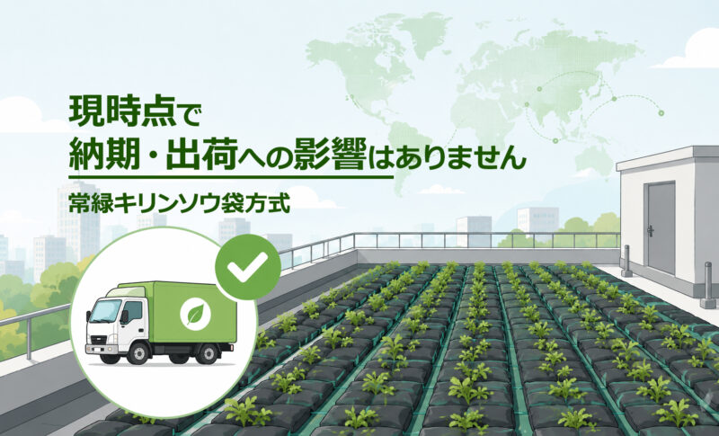 常緑キリンソウ袋方式®の納期・出荷について、現時点で中東情勢による大きな影響がないことを案内する屋上緑化のニュース画像