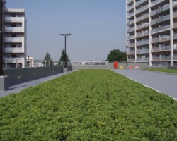 松原団地 常緑キリンソウ袋方式販売緑化計画研究所屋上緑化施工事例