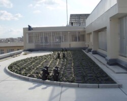 公務員宿舎 常緑キリンソウ袋方式販売緑化計画研究所屋上緑化施工事例