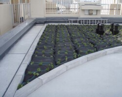 公務員宿舎 常緑キリンソウ袋方式販売緑化計画研究所屋上緑化施工事例
