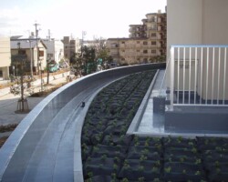 公務員宿舎 常緑キリンソウ袋方式販売緑化計画研究所屋上緑化施工事例