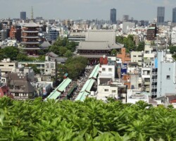 浅草文化観光センター 常緑キリンソウ袋方式販売緑化計画研究所屋根緑化施工事例