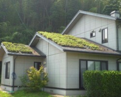 個人邸 常緑キリンソウ袋方式販売緑化計画研究所屋根緑化施工事例