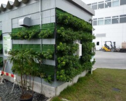 事務所 常緑キリンソウ袋方式販売緑化計画研究所壁面緑化施工事例