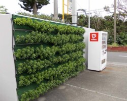 ガソリンスタンド 常緑キリンソウ袋方式販売緑化計画研究所壁面緑化施工事例