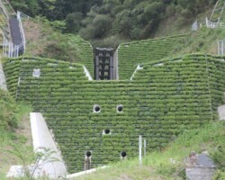 三朝砂防堰堤 常緑キリンソウ袋方式販売緑化計画研究所砂防堰堤緑化施工事例