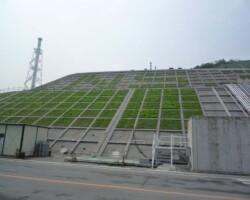 コンクリート法枠 常緑キリンソウ袋方式販売緑化計画研究所のり枠緑化施工事例