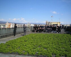前橋中学校 常緑キリンソウ袋方式販売緑化計画研究所屋上緑化施工事例