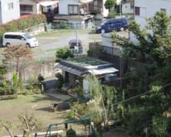 子ども広場 常緑キリンソウ袋方式販売緑化計画研究所屋根緑化施工事例