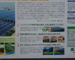 ソーラーシェアリング 常緑キリンソウ袋方式販売緑化計画研究所ソーラーパネル下緑化施工事例