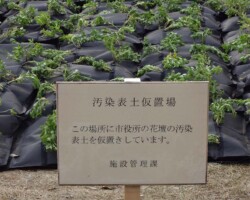 福島復興プロジェクト 常緑キリンソウ袋方式販売緑化計画研究所施工事例