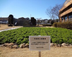 福島復興プロジェクト 常緑キリンソウ袋方式販売緑化計画研究所施工事例